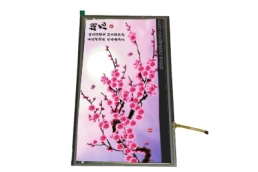 10.1 inch portrait tft lcd screen 